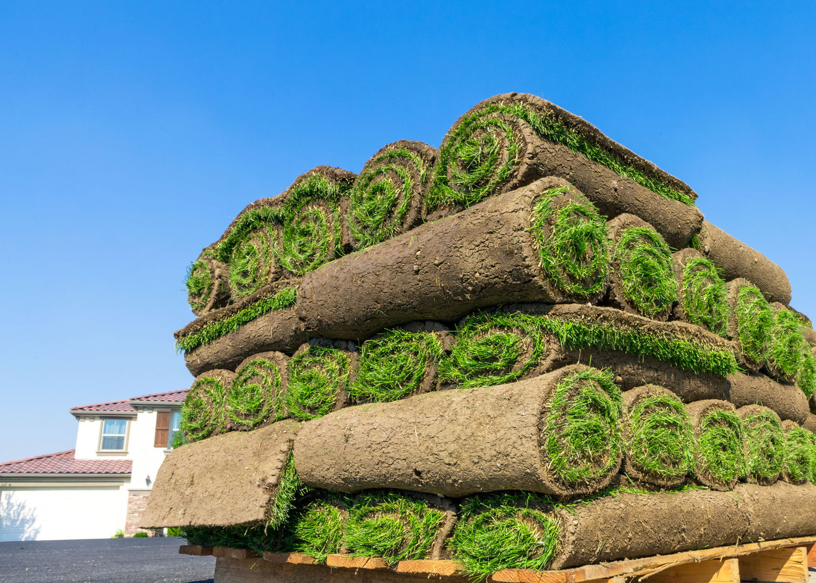 Atlanta Sod Company Quality Sod Suppliers Delivery