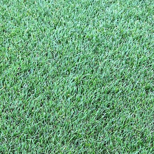 North Bridge Bermuda  