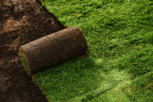 How Much Does it Cost to Sod a Yard?