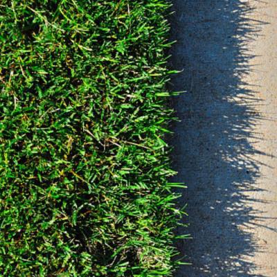 The Hidden Benefits of Bermuda Grass Sod: Air Quality and Carbon Sequestration
