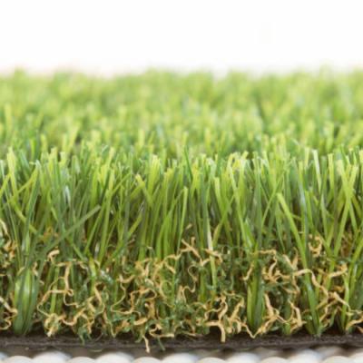  Choosing Between Empire Zoysia Grass Seed and Fully Developed Sod 