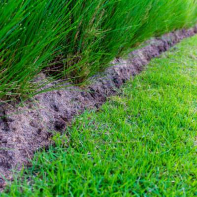 Enhancing Your Landscape with Tifway 419 Bermuda Grass: Design Tips and Ideas